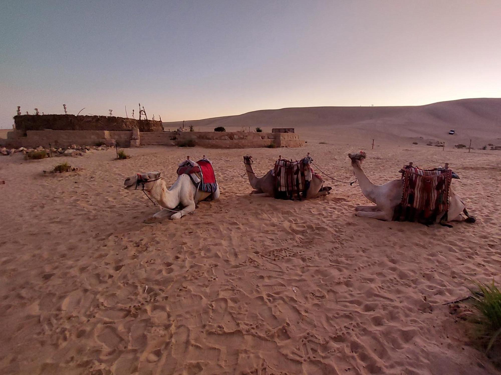 Hayaat Siwa Hot Spring Hotel Siwa Oasis Exterior photo